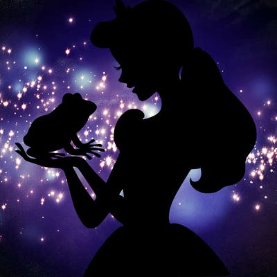 a shadow of a princess holding a frog realistic