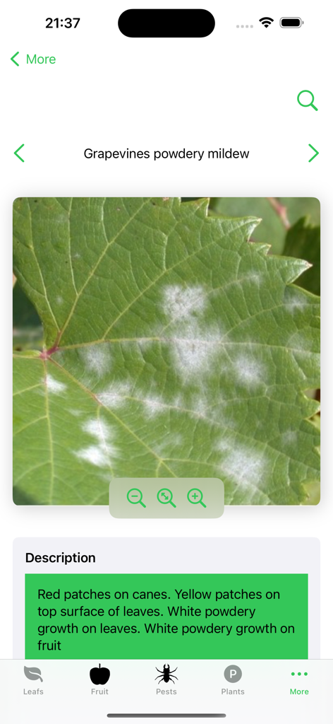 Plant diseases and pests - モバイルアプリの画面。ブドウの葉にうどんこ病とその症状の説明が表示されています。