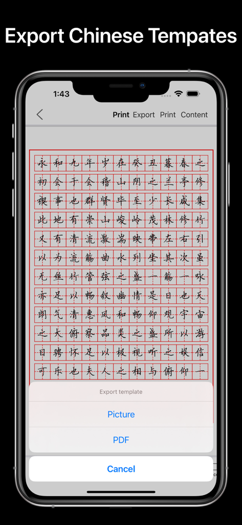Schermata di esportazione per modelli di pratica di calligrafia cinese nell'app Calligraphy Master