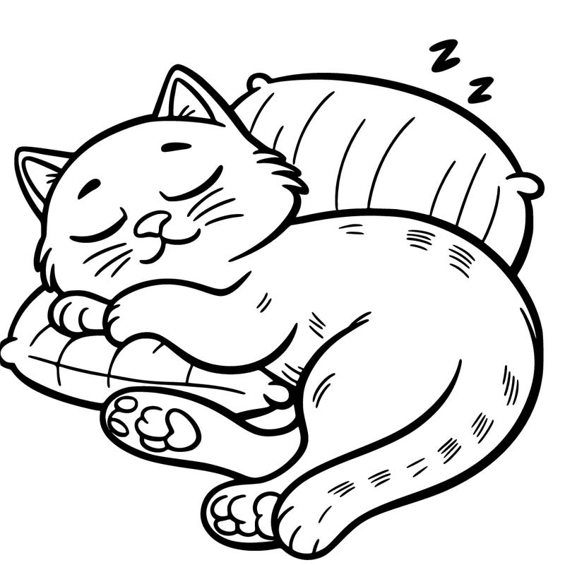 catnap