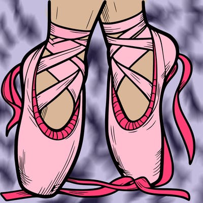 ballet shoes