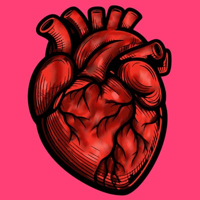 realistic heart