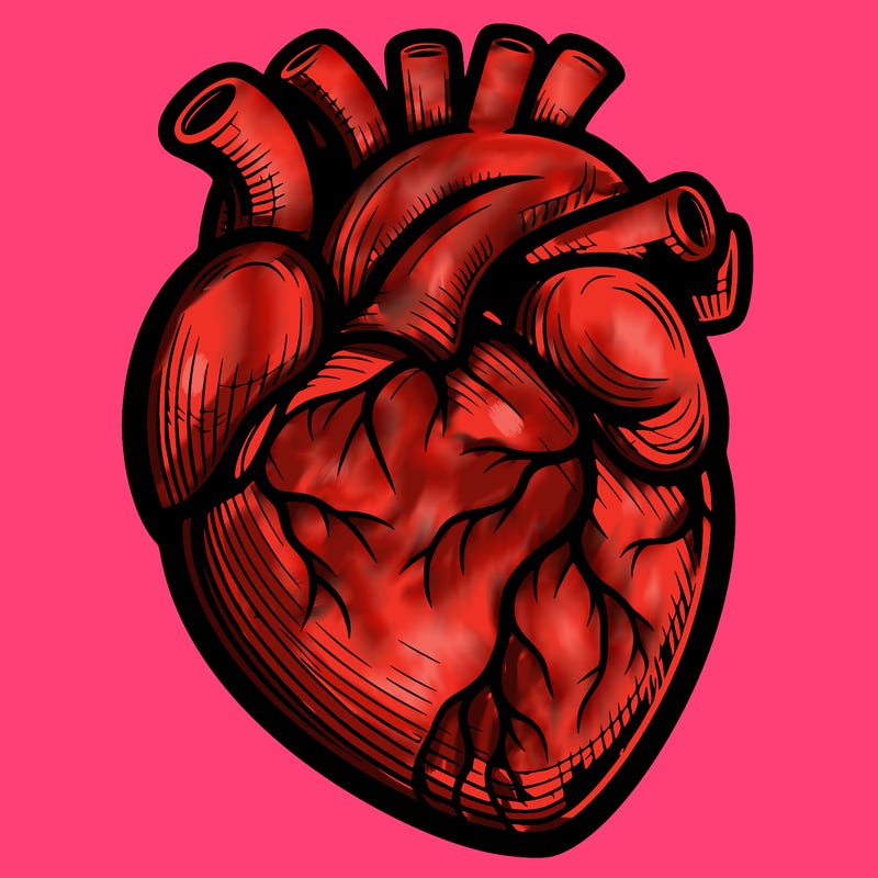 realistic heart