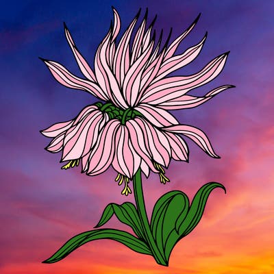 flowers_20