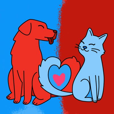 animals_22