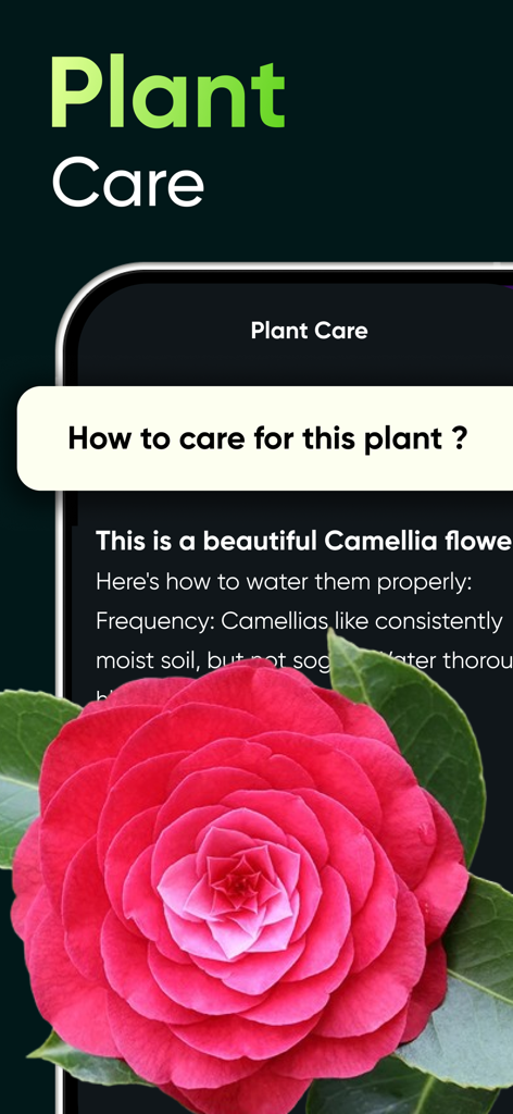 Bernard AI app interface showing plant identification and care advice for a pink Camellia flower