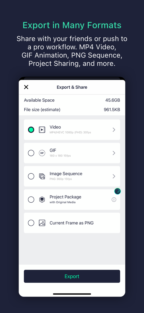 Alight Motion export and share menu showing video, GIF, and project file options.