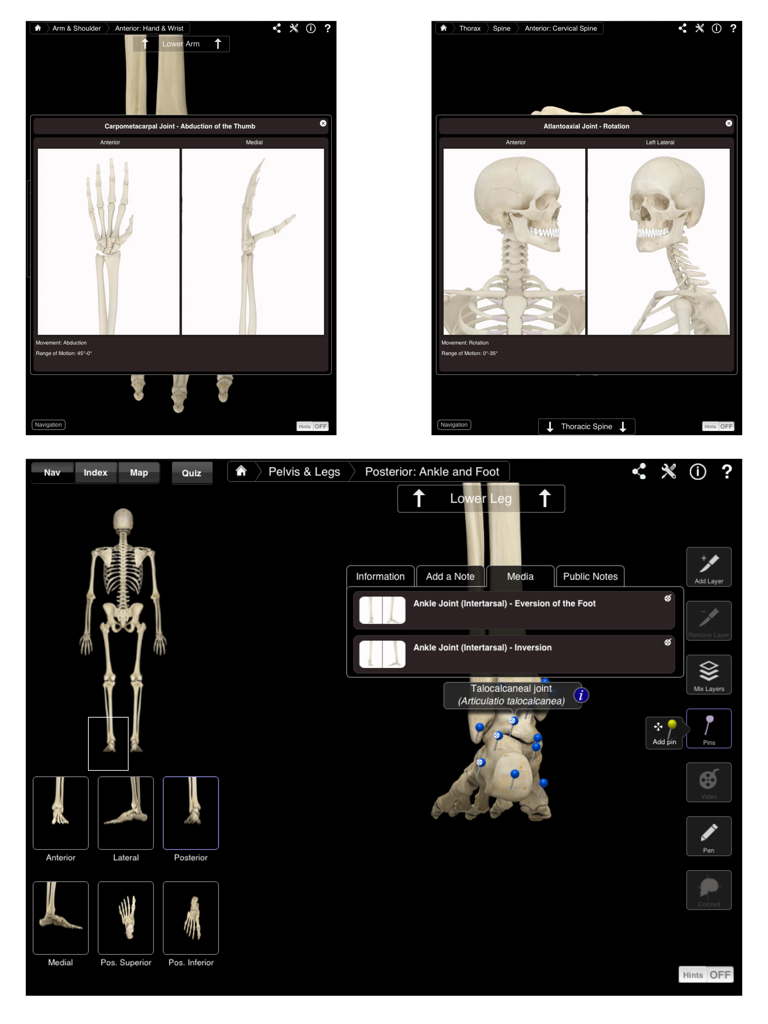Collage of three iPad screenshots from Skeleton System Pro III displaying 3D anatomical models of the hand, cervical spine, and ankle joints with medical labeling.