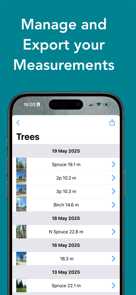 Arboreal - Tree Height - A list of saved tree measurements within the Arboreal app showing tree species and height data organized by date.