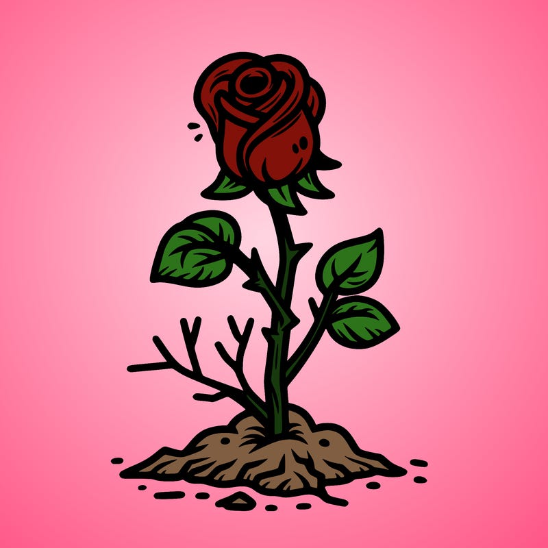 dead rose coming back too life