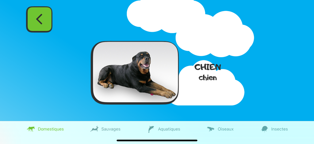 Capture d'écran de l'application ABC pour enfants en français montrant l'image d'un chien avec le mot français « chien ».