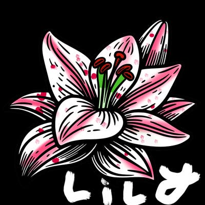 lily flower