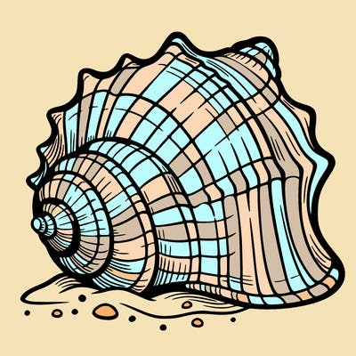 sea shell