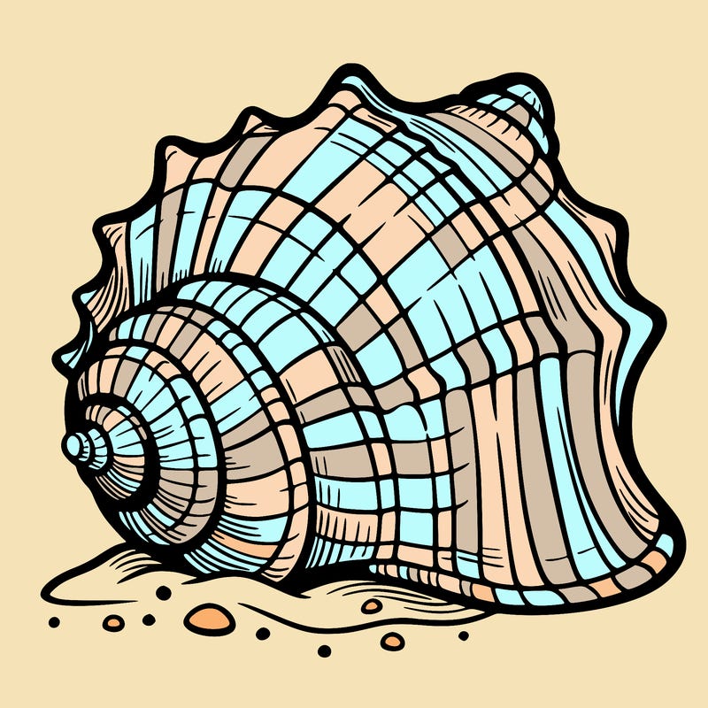 sea shell
