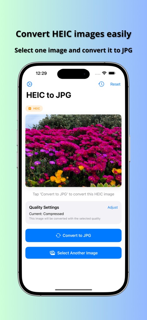 HEIC to JPG · Image Converter - HEIC to JPG Image Converter app interface on iPhone showing a selected photo with a convert button