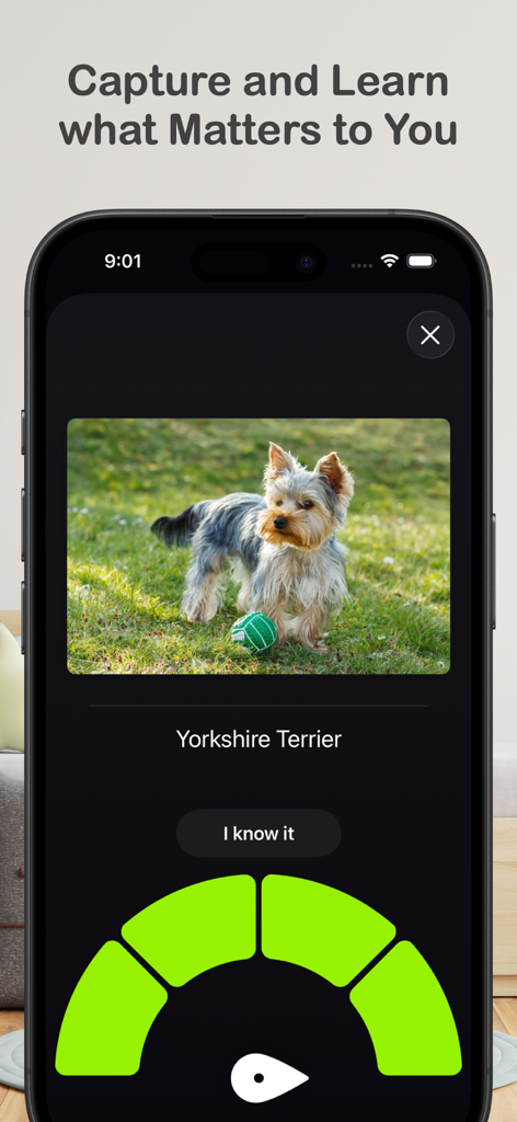 Benkyo Box - Benkyo Boxフラッシュカード学習インターフェイス、犬の画像と評価ダイヤル付き