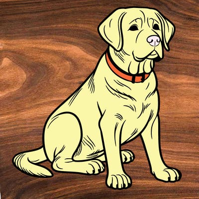 labrador