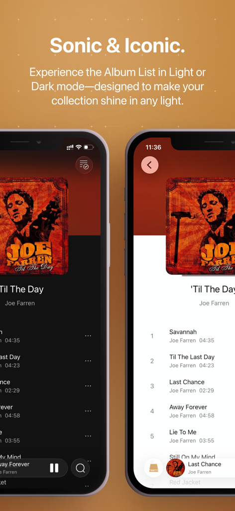 HiFier: HiFi Music Player - HiFier app interface showing album tracklist in light and dark modes