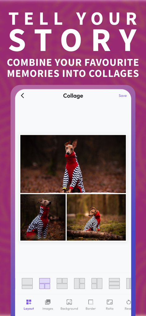 Photo Grid & Collage Maker - A photo collage maker interface showing a dog in a three image grid layout