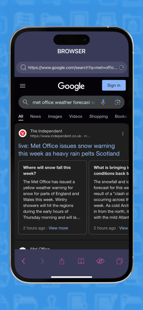 Specialized browser interface within the File Manager app on iPhone