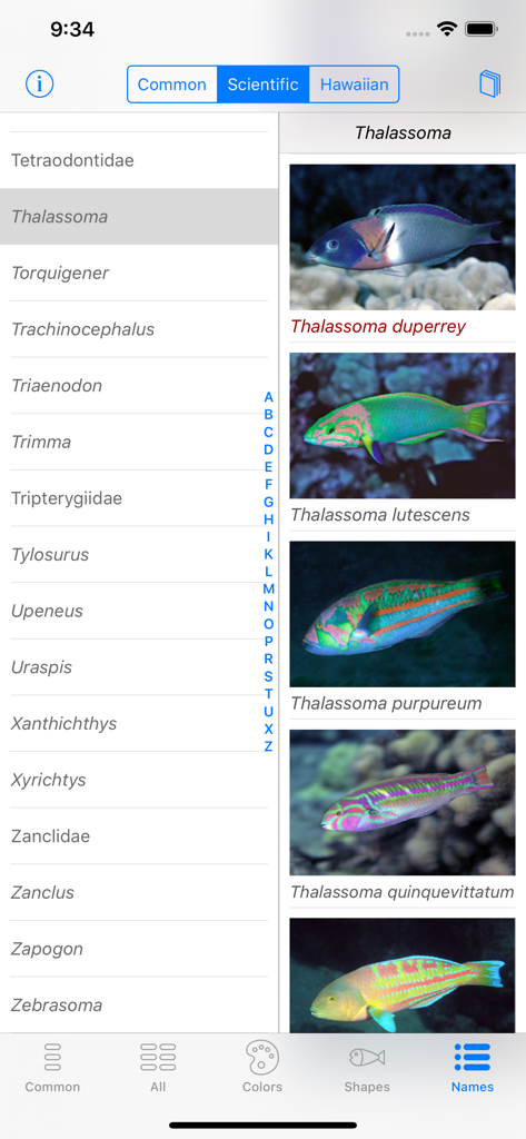 Fish identification by scientific names in the Scuba Fish Hawaii app