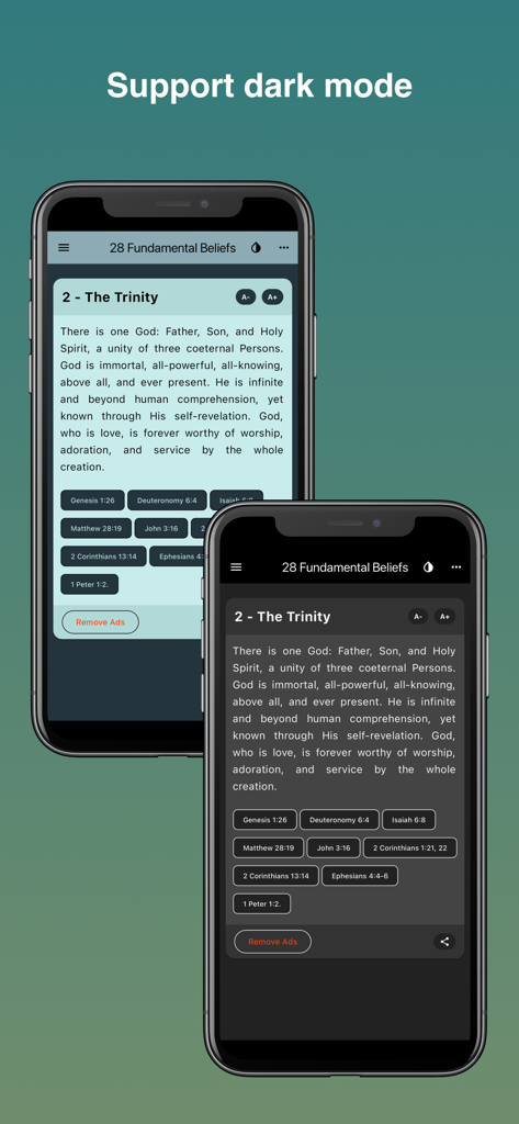 The 28 fundamental beliefs SDA - The 28 fundamental beliefs SDA app interface showing light and dark mode support