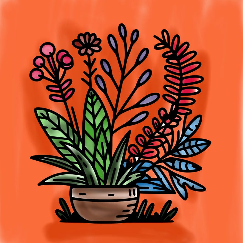 plants