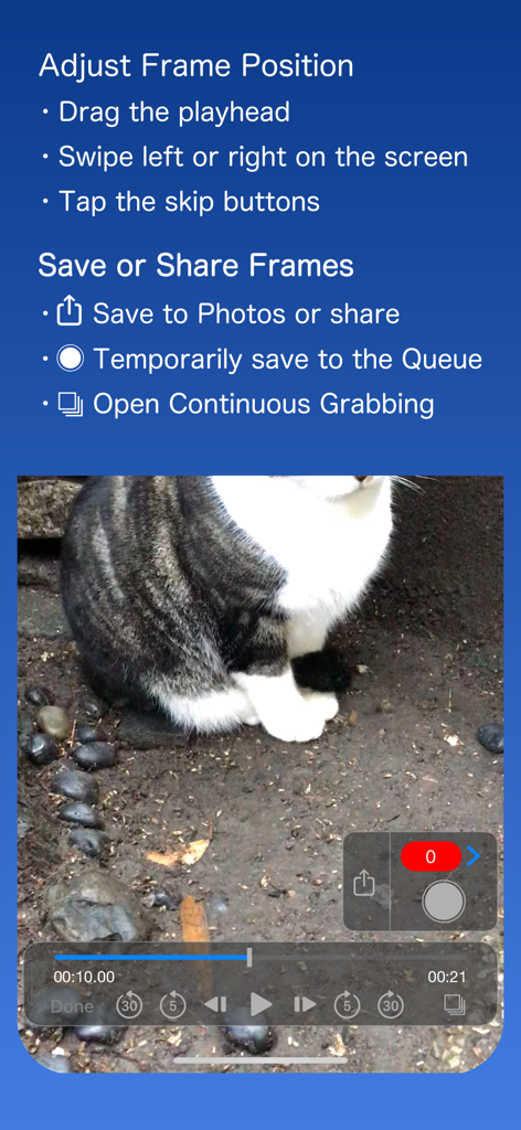 Frame Grab - Interfaccia dell'app Frame Grab che mostra controlli di modifica video e istruzioni per catturare fotogrammi da un video di un gatto.
