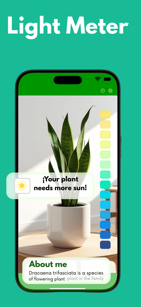 Plantsnap Plant Identifier - A smartphone screen showing the Plantsnap app's light meter feature diagnosing a snake plant's sunlight needs.