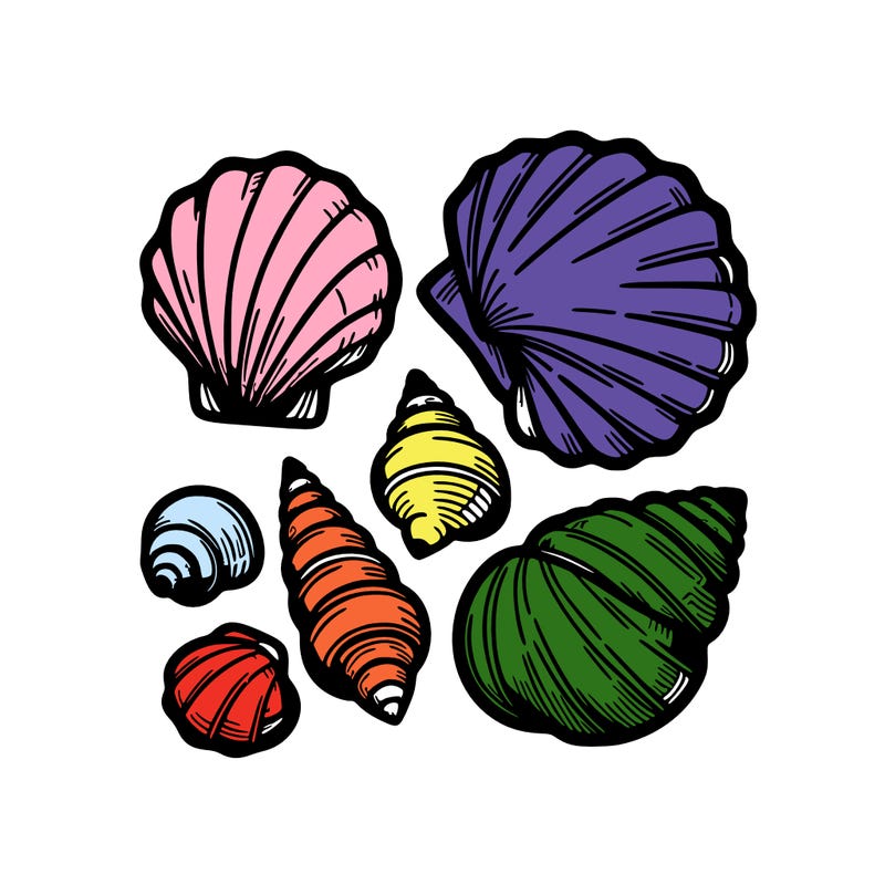shells