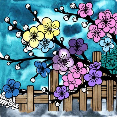 japan cherry blossom