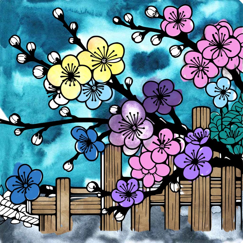 japan cherry blossom