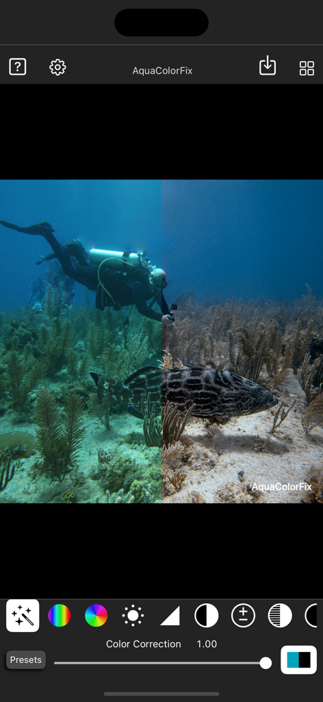 Vergleich eines Unterwasserfotos von einem Tauchgang vor und nach der Farbkorrektur im Split-Screen-Modus