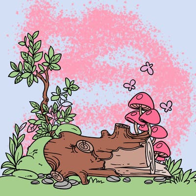 places_11