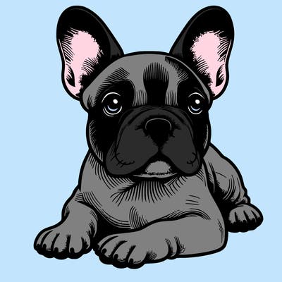 realistic french bull dog