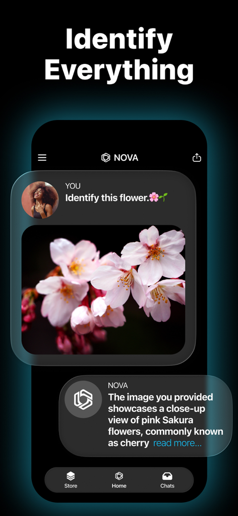 La aplicación Nova AI identificando una foto de flores de Sakura rosadas.