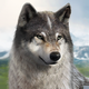 Wolf Game: Wild Animal Wars