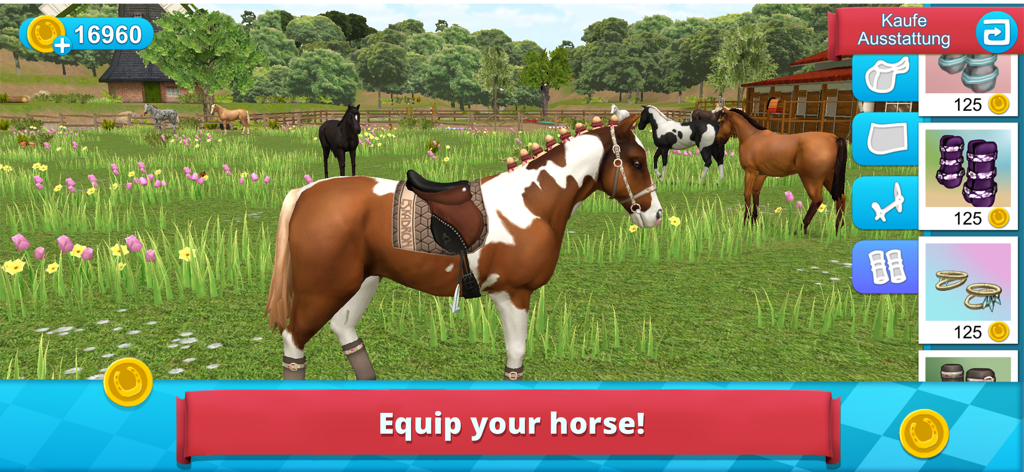 A brown and white pinto horse being equipped with a saddle in a grassy field