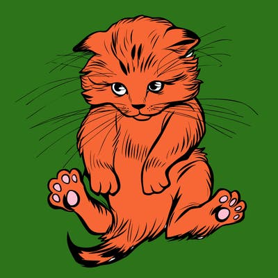 animals_20