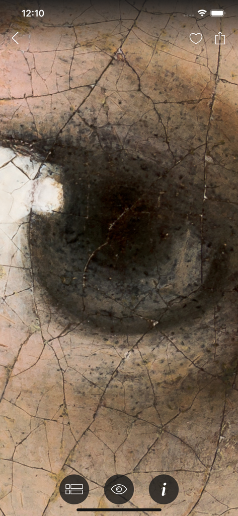 Extreme gigapixel zoom of a painting detail showing brushstrokes and crackle texture in the Second Canvas Mauritshuis app