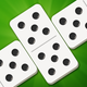 Arcadia Dominoes for Seniors