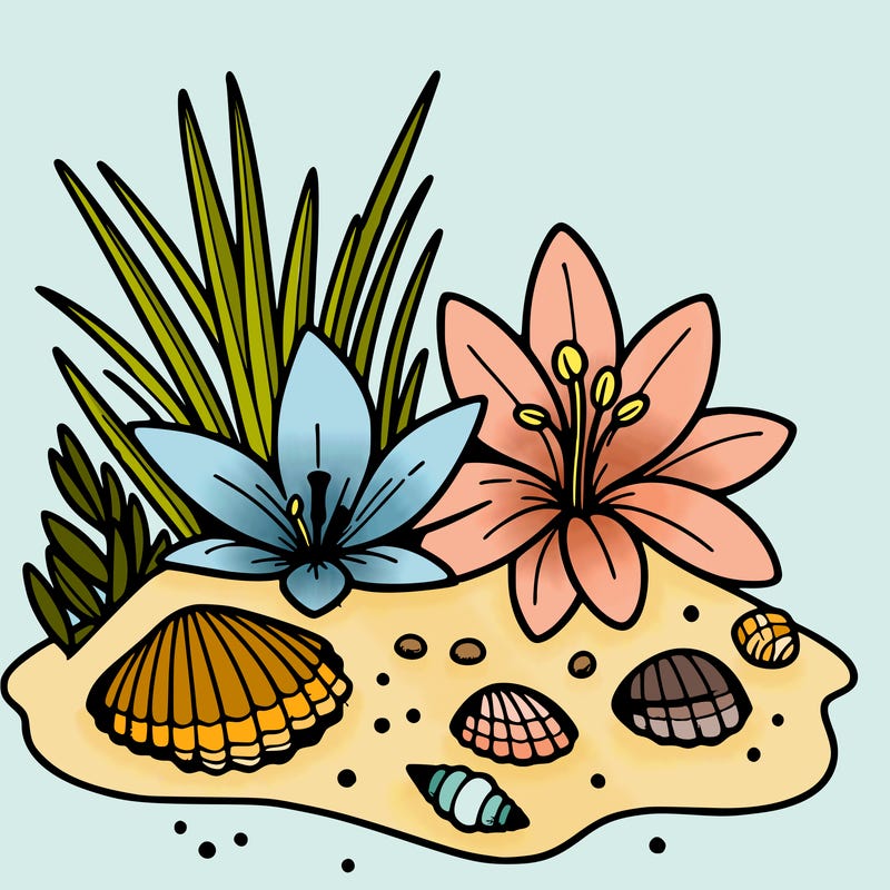 sand, lily, shells