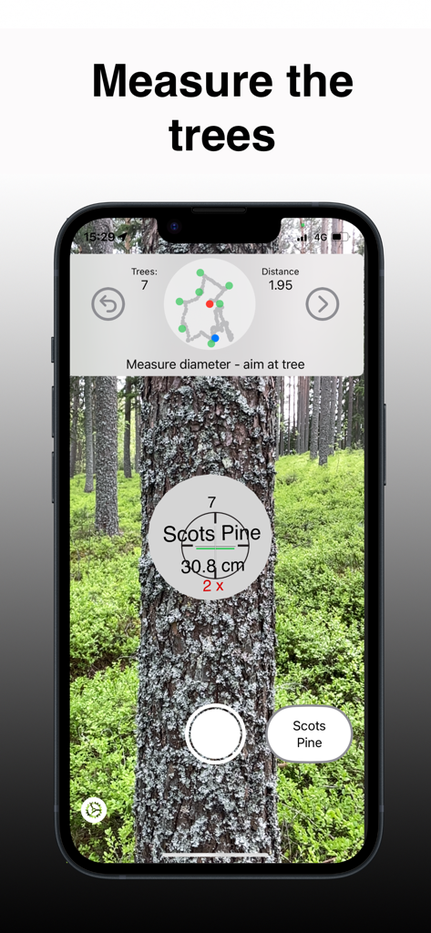 Arboreal Forest app using AR and LiDAR to measure the diameter of a Scots Pine tree in the woods