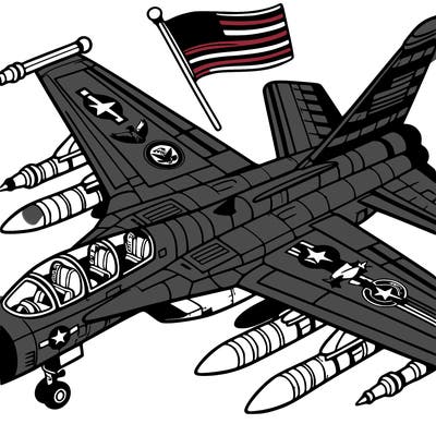 a jet painted with military insignia and flags.