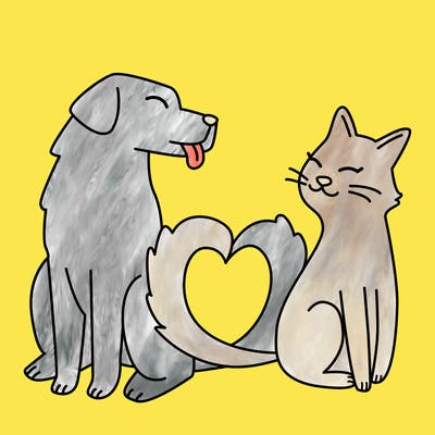 animals_22