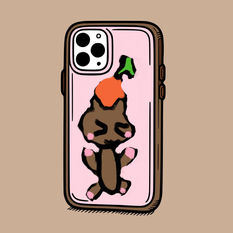 phone case
