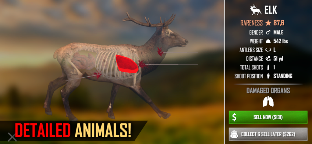 American Marksman - X-ray view of an elk in American Marksman showing internal anatomy and hunting statistics after a successful shot.