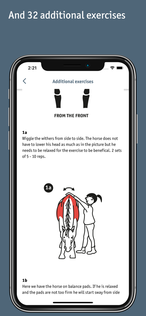 Equibodybalance - A screenshot of the Equibodybalance app displaying a therapeutic ground exercise for wiggling a horse's withers.