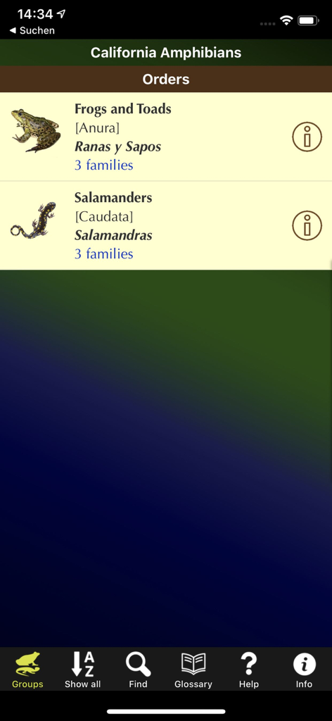 California Amphibians - Screenshot of the California Amphibians app showing the biological orders menu for Frogs Toads and Salamanders with names in English Latin and Spanish.