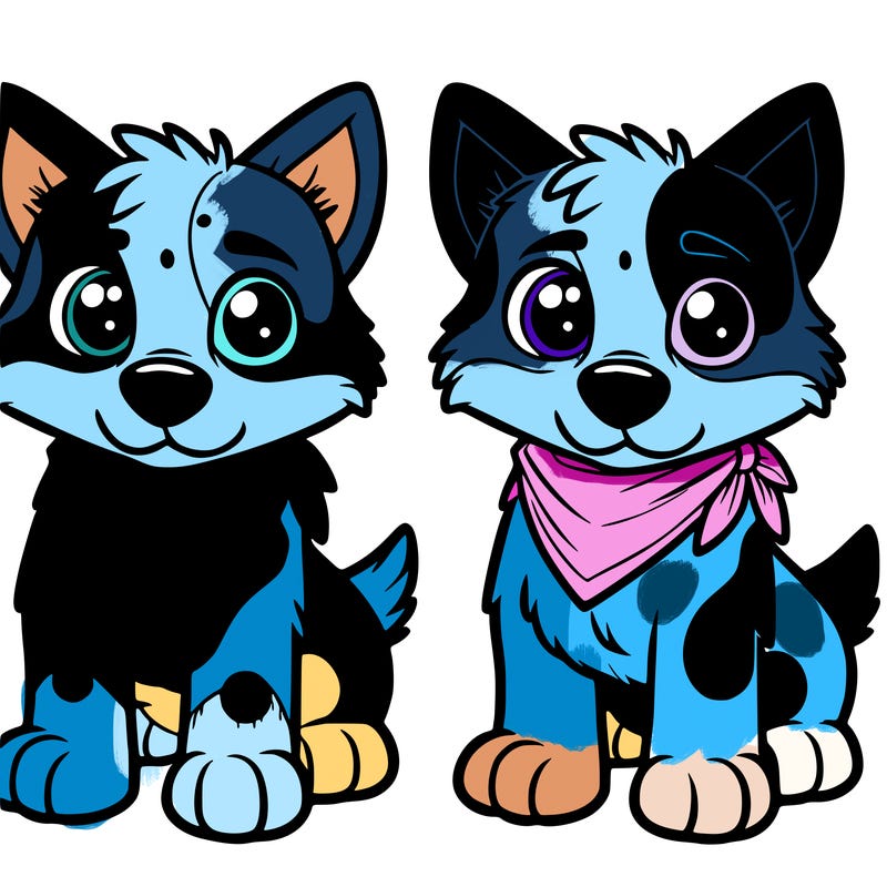 blu heeler